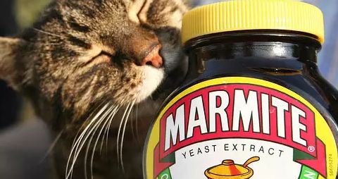 餐飲業(yè)戰(zhàn)“疫”新動(dòng)向 海底撈精釀線下擴(kuò)張，BrewDog跨界酵母醬，行業(yè)自救各顯神通