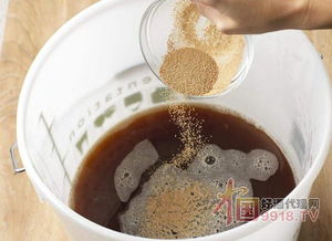 啤酒酵母 被低估的營養(yǎng)寶庫，不止于緩解口腔潰瘍